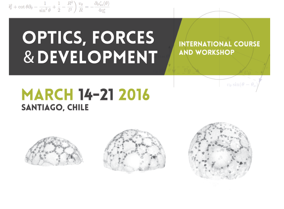 2016 Afiche Optics Forces and Development Santiago de Chile