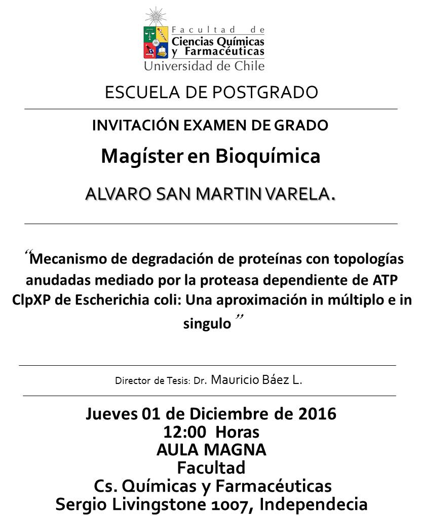 alvaro-san-martin-28-11-2016-1