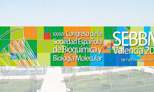 XXXVIII Congresos de la Sociedad Española de Bioquímica y Biología Molecular