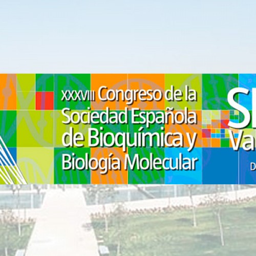 XXXVIII Congress of the Spanish society of Biochemistry and Molecular Biology