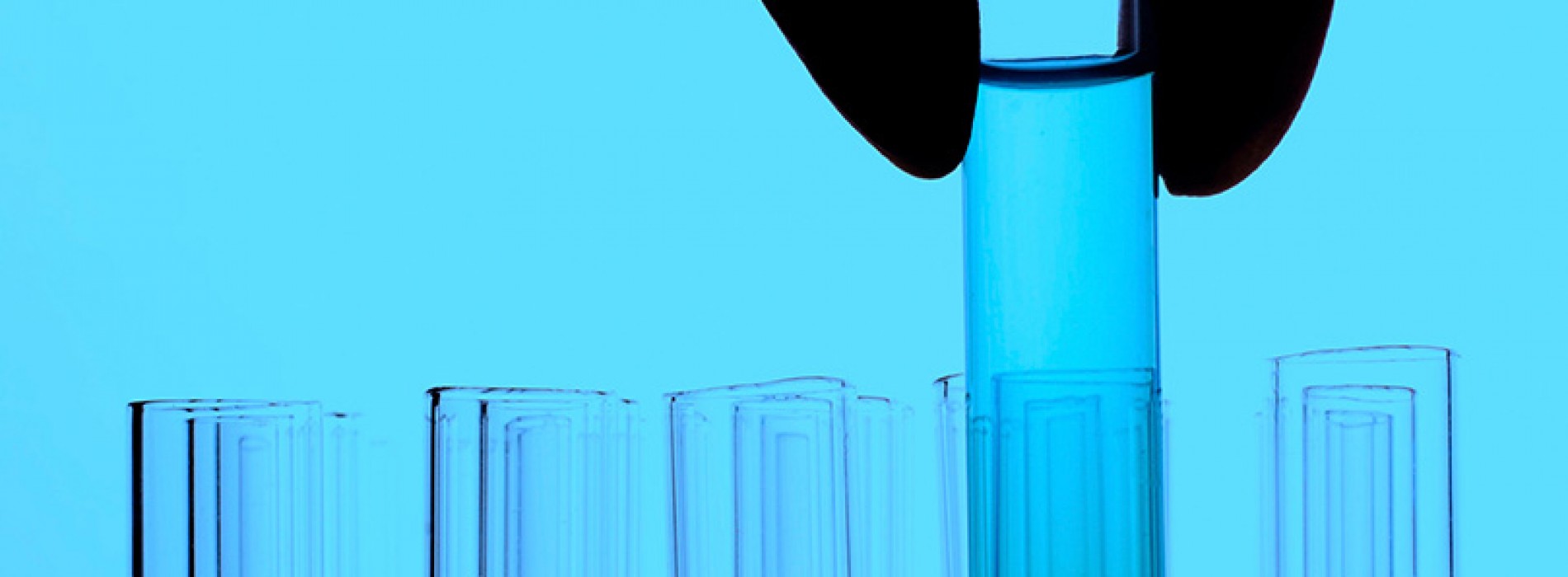 CSK-TEAM Taller de Bioemprendimiento