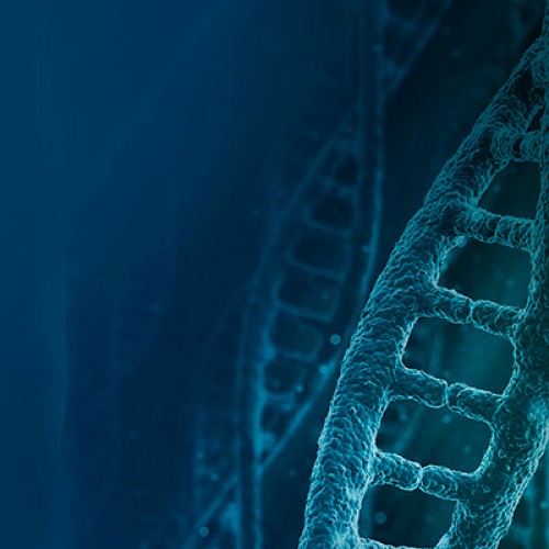 6to Congreso Argentino de Bioinformática y Biología Computacional (VI CAB2C)