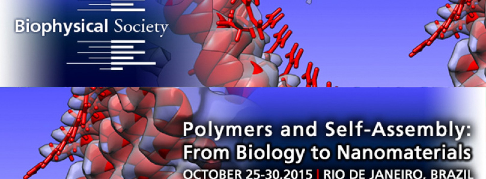 Polymers and Self-Assembly: From Biology to Nanomaterials