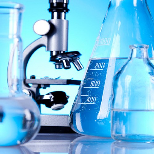 Revista de «Ensino de Bioquímica»