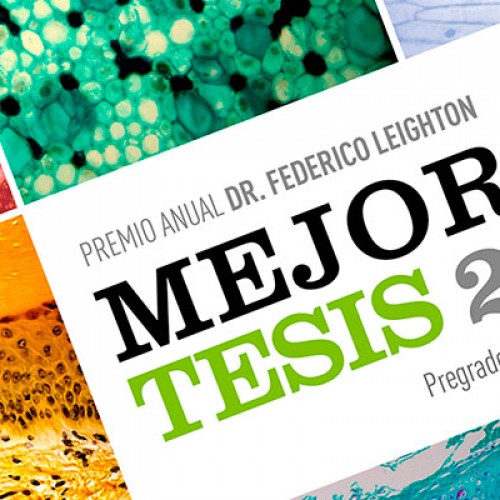 Mejores tesis 2015 Premio Anual Dr. Federico Leighton
