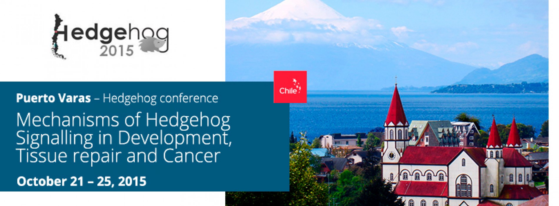 Puerto Varas – Hedgehog conference, October 21 – 25, 2015