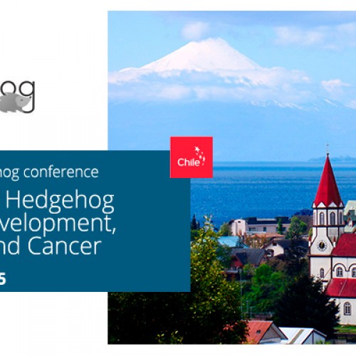 Puerto Varas – Hedgehog conference, October 21 – 25, 2015