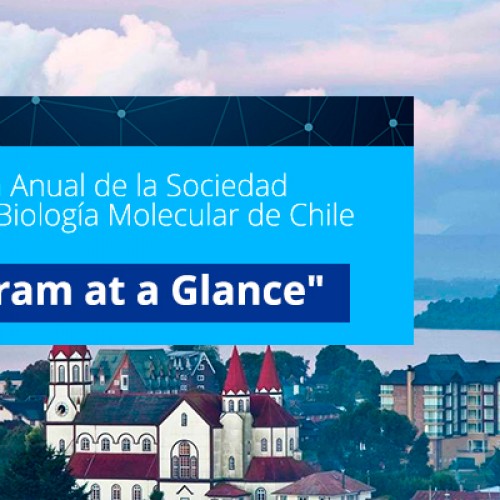 “Program at a Glance». XXXVIII Reunión Anual de la Sociedad de Bioquímica y Biología Molecular de Chile