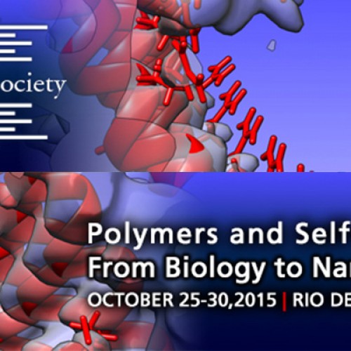 June 22 Abstract Deadline – Polymers and Self-Assembly: From Biology to Nanomaterials Meeting, Rio de Janeiro, Brazil