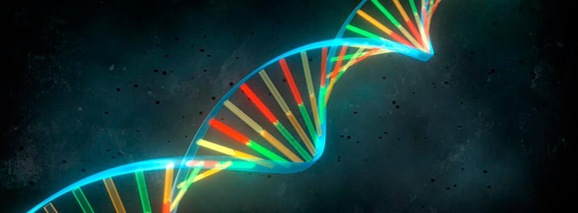 Curso Genética Molecular de Levaduras