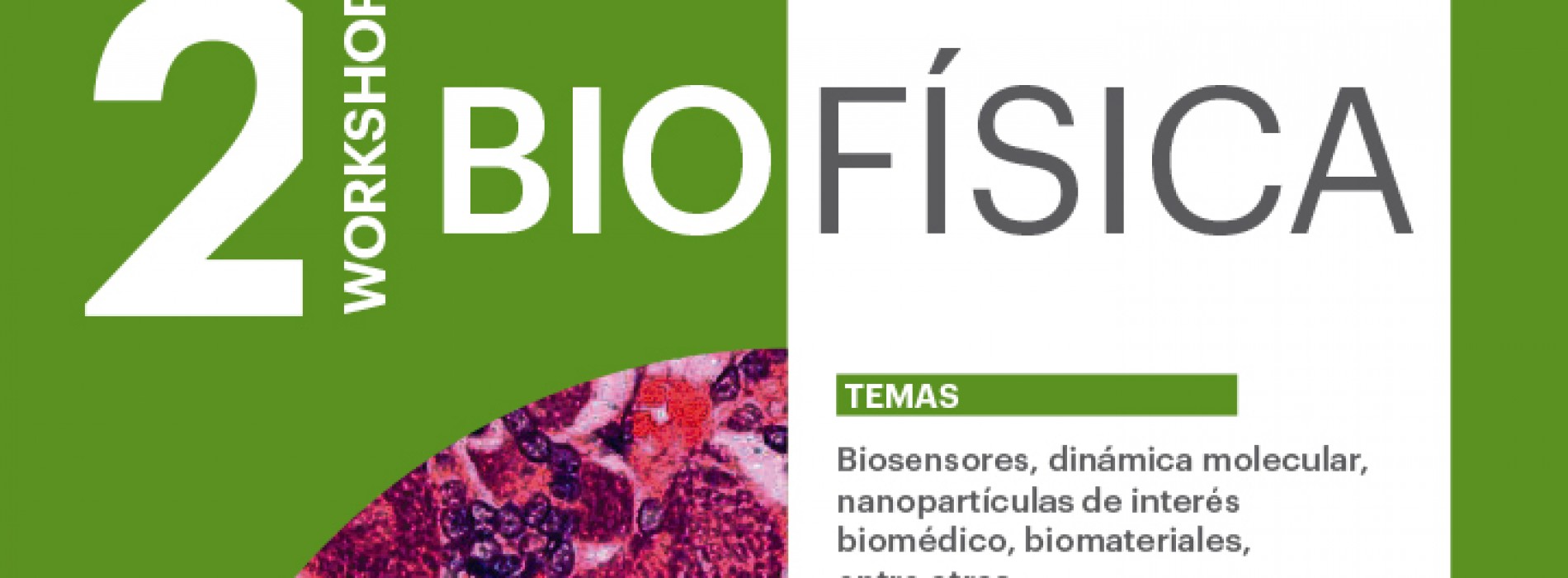Invitación a 2º Workshop de Biofísica – SE EXTIENDE PLAZO