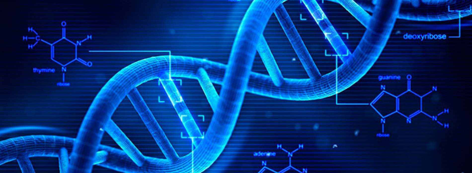 Calling for abstracts “Oxidative Medicine and Cellular Longevity