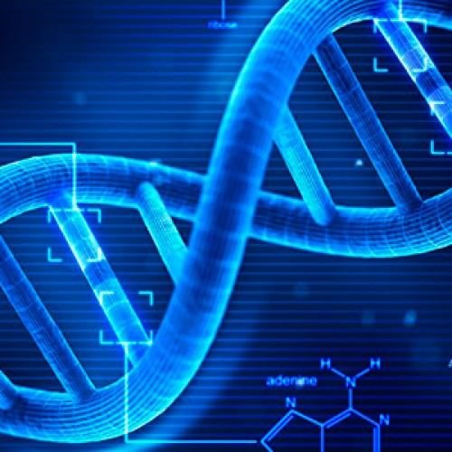 Calling for abstracts: «Oxidative Medicine and Cellular Longevity» (Impact Factor 3.516)