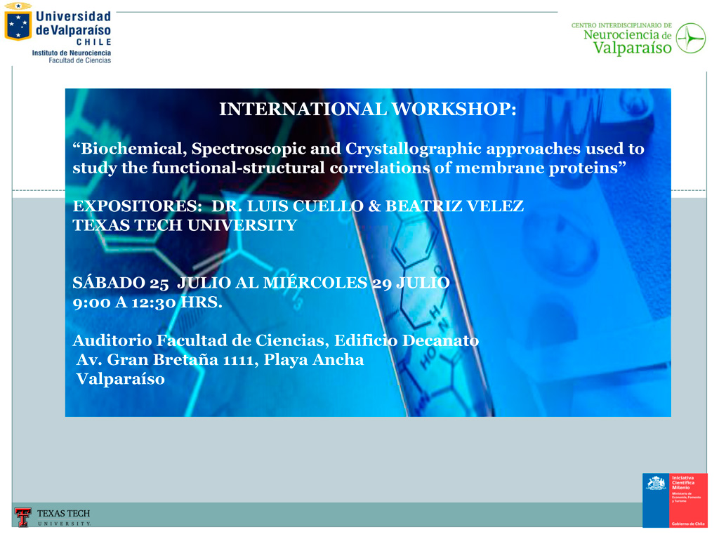 International-Workshop-25-al-29-de-Julio