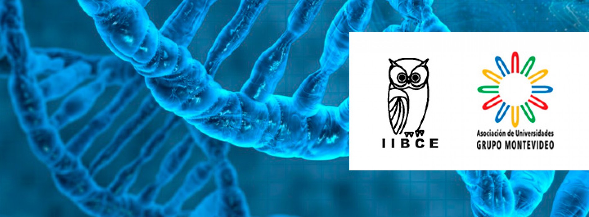 Scholarships for master's and doctoral students for the course Advanced School on Molecular and Cell Biology to Unravel the Physiology of Diverse Biological Paradigms - Convention IIBCE AUGM