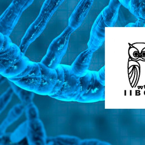 Scholarships for master's and doctoral students for the course Advanced School on Molecular and Cell Biology to Unravel the Physiology of Diverse Biological Paradigms - Convention IIBCE AUGM