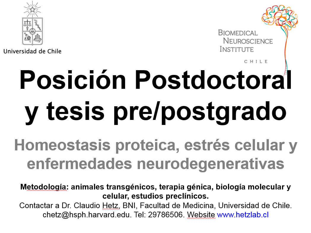 afiche-postdoctoral