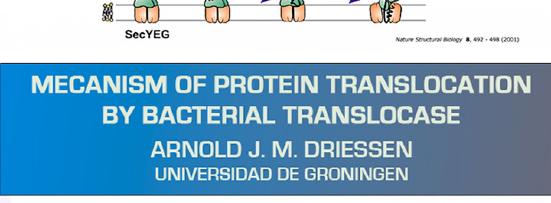 Lecture: "Mecanism of Protein Translocation by Bacterial Translocase"-Arnold J. M. Driessen