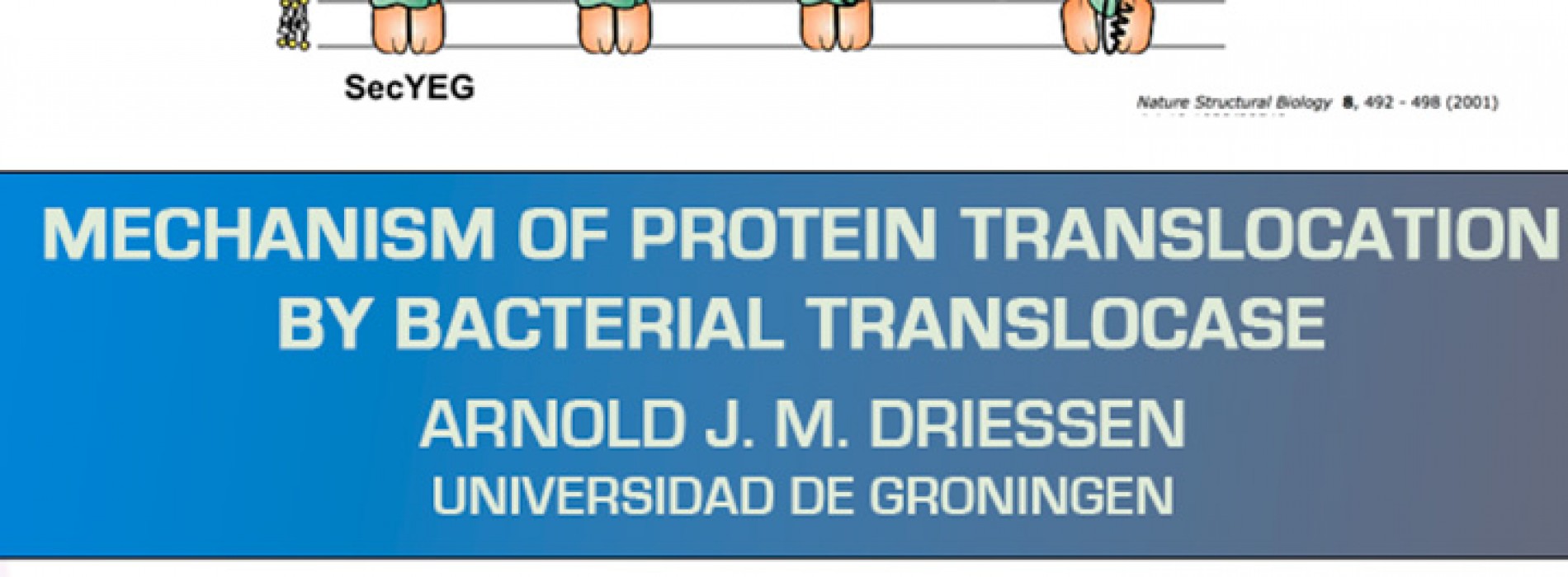 Lecture: "Mechanism of Protein Translocation by Bacterial Translocase"-Arnold J. M. Driessen