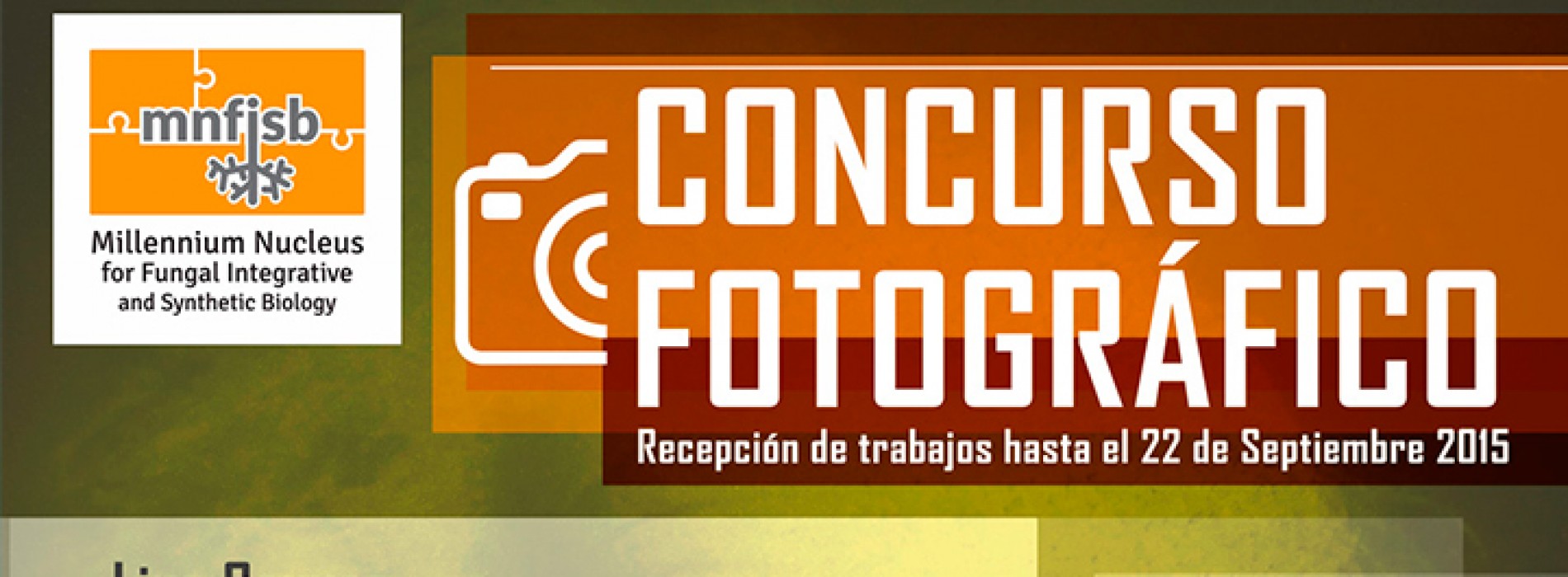Photo contest, "Live Canvas: art interactive optogenetico vivo"
