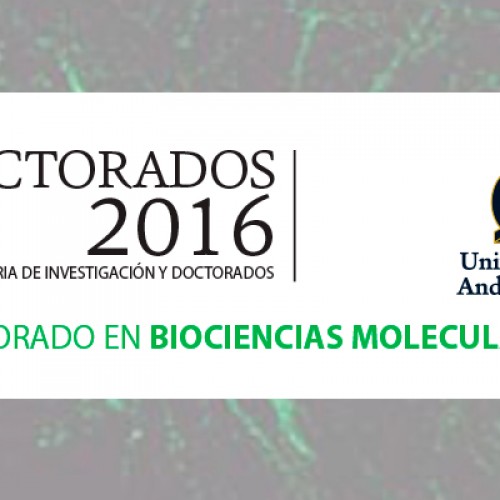 Doctorado en Biociencias Moleculares – DOCTORADOS 2016 – Universidad Andrés Bello