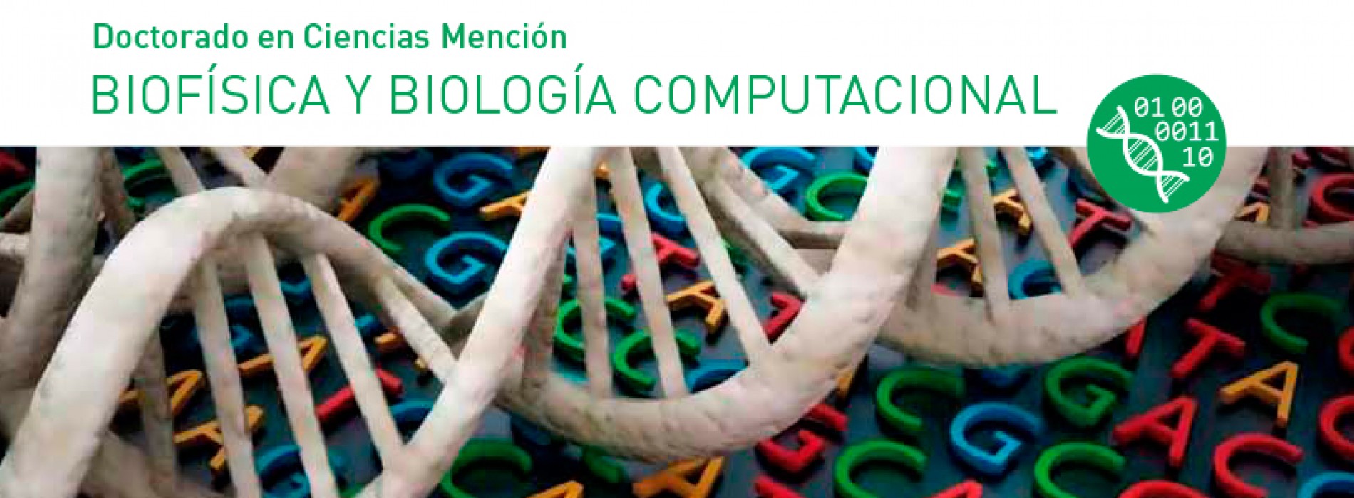 Doctorado en Ciencias Mención BIOFÍSICA Y BIOLOGÍA COMPUTACIONAL