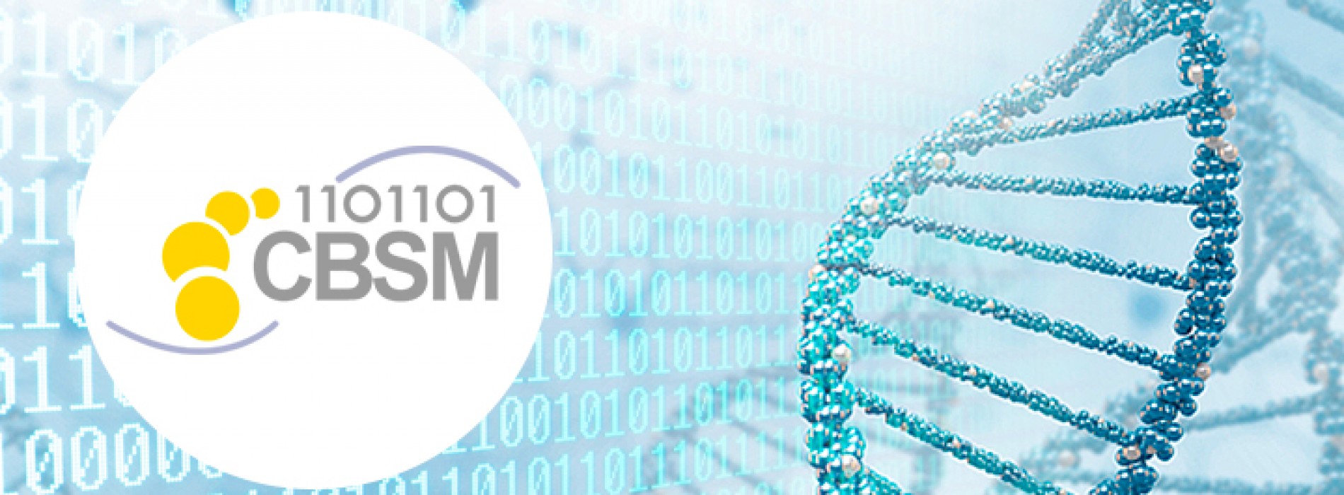 ICBSM (FIRST INTERNATIONAL CONFERENCE IN BIOINFORMATICS, SIMULATIONS AND MODELING)