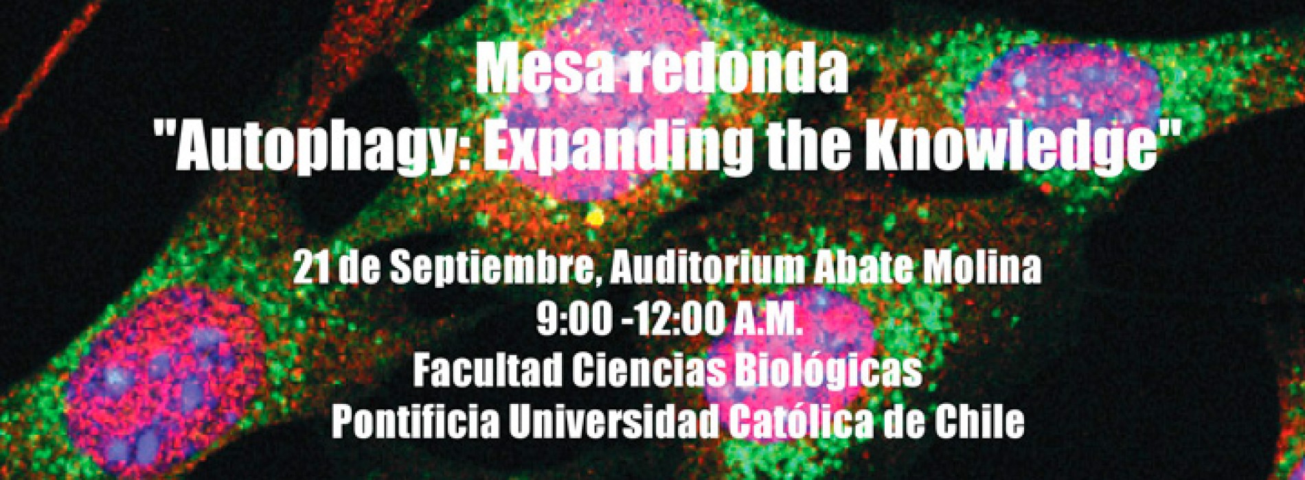 Invitation round table "Autophagy: Expanding the knowledge"