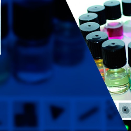 SEMINARIO “Bioanalytics using single plasmonic nanostructures” Dr. Wolfgang Fritzsche – 15 de Septiembre 2015, a las 12.00 hrs