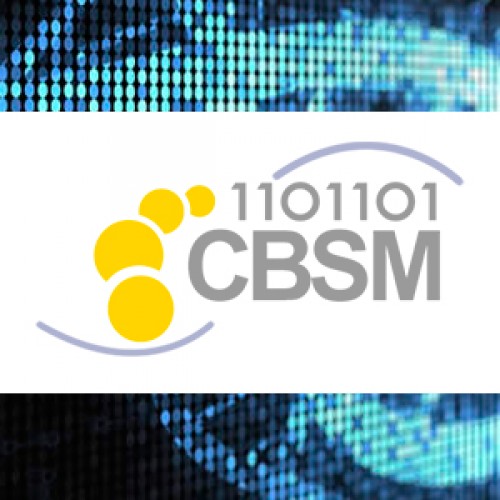 Third and last call for participation in the «ICBSM (FIRST INTERNATIONAL CONFERENCE IN BIOINFORMATICS, SIMULATIONS AND MODELING)»