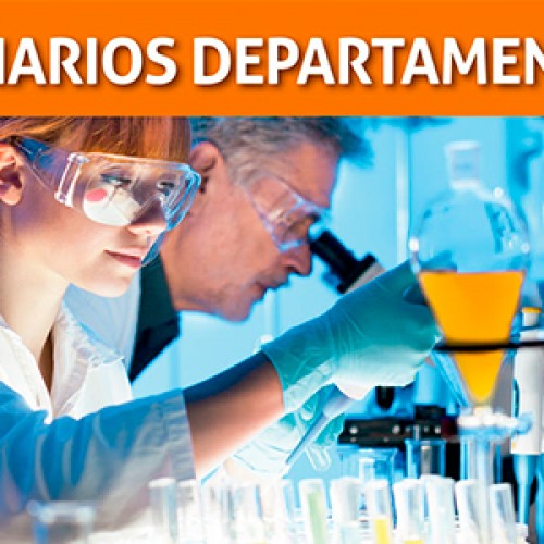 Seminarios Departamentales: Prof. Carmen Romero