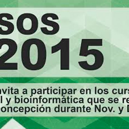 1era Edición Cursos ISCB RSG-Chile – Universidad de Concepción.