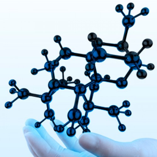 Acreditación Doctorado en Biotecnología Molecular