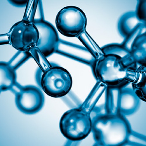 Curso: “Introducción al plegamiento y cambio conformacional de proteínas mediante dinámica molecular con potenciales simplificados”