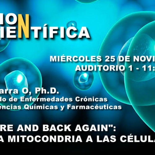 Reunión científica «There and back again»: De la Mitocondria a las células madre