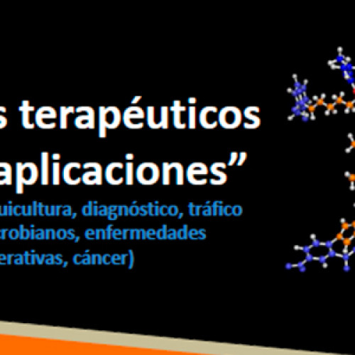 Workshop «Péptidos terapéuticos para bioaplicaciones», PUCV