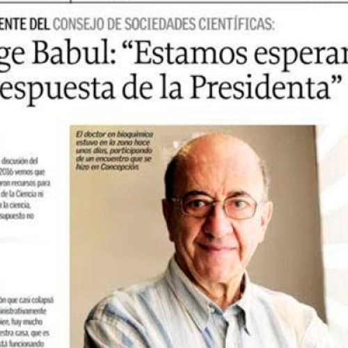 Jorge Babul: "we are waiting for the response of the President" - El Sur newspaper interview