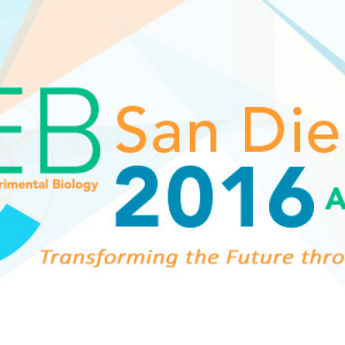 Less Than 2 Weeks Left to Submit Your  Late-Breaking Abstract!
