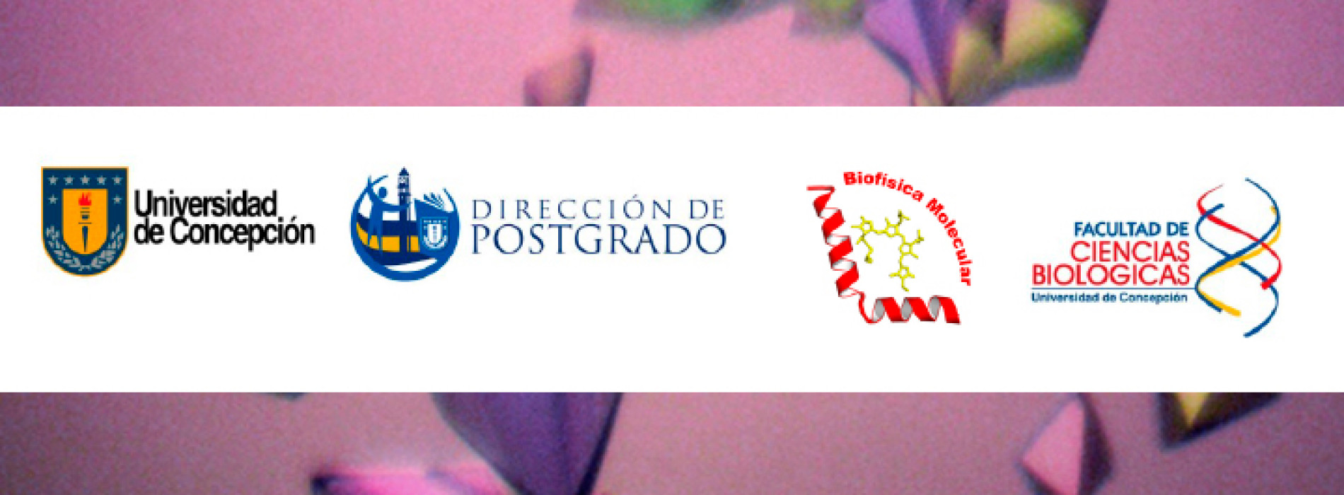 Curso teórico-práctico «Advances in Protein Crystallography»