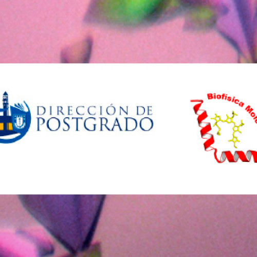 Theoretical and practical course "Advances in Protein Crystallography"
