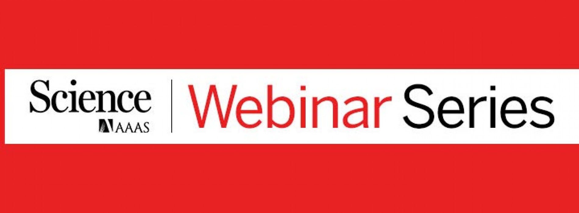 «Characterizing the maternal immune environment during pregnancy: Implications for autism spectrum disorders» – Now Available On Demand!