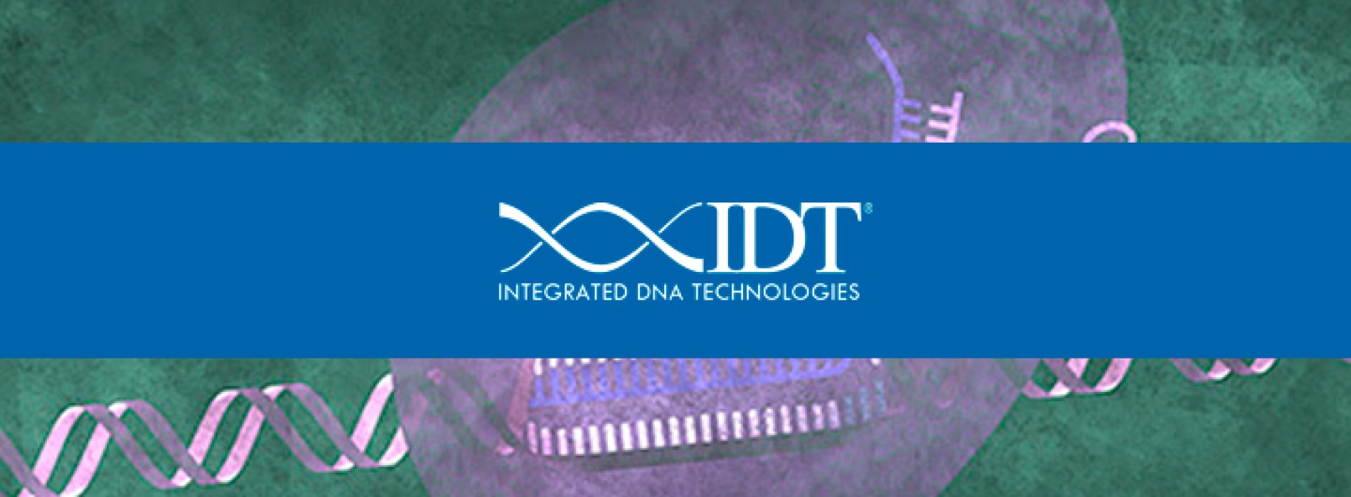 Join our CRISPR webinar
