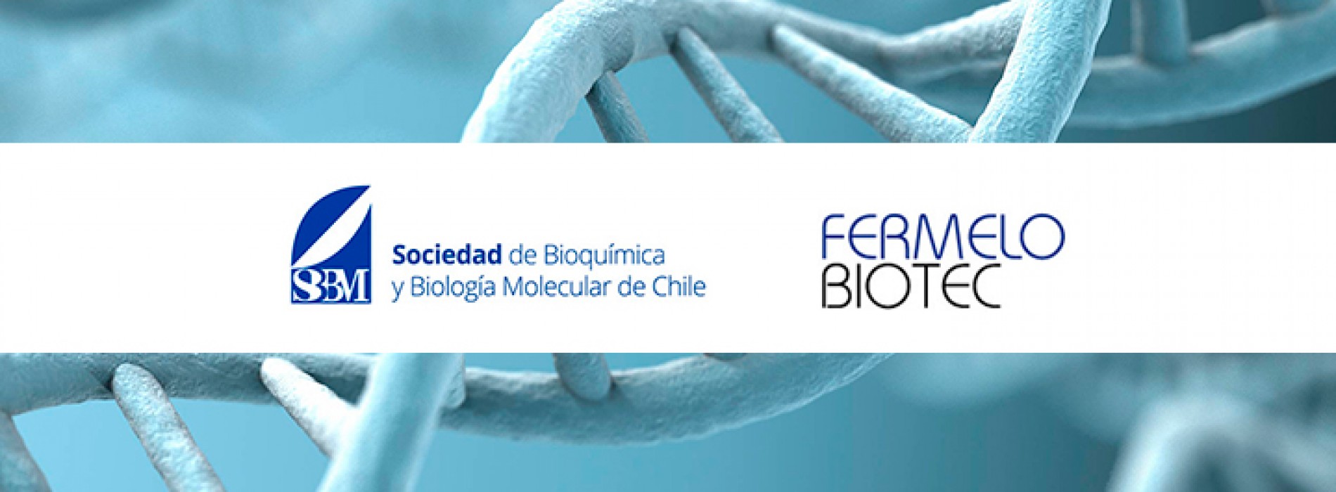 "SBBMCH and Fermelo Biotech: A history of cooperation, friendship and science"
