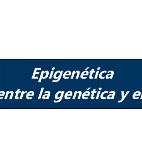 CURSO DE POSGRADO Epigenética Interfase entre la genética y el ambiente