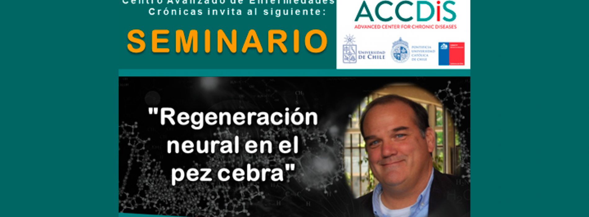 Seminario ACCDiS: «Regeneración neural en el pez cebra» Dr. Miguel Allende