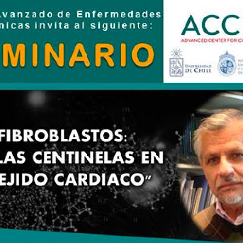 Seminario ACCDiS​ ​»Fibroblastos: Células ​C​entinelas en el tejido ​c​ardíaco» Dr. Guillermo Díaz-Araya