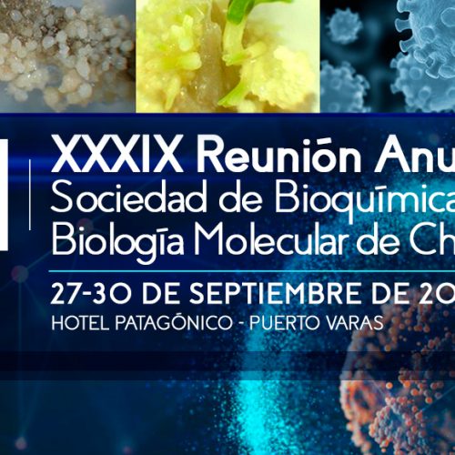 Sign up here to the XXXIX annual meeting of the society of Biochemistry and Molecular Biology