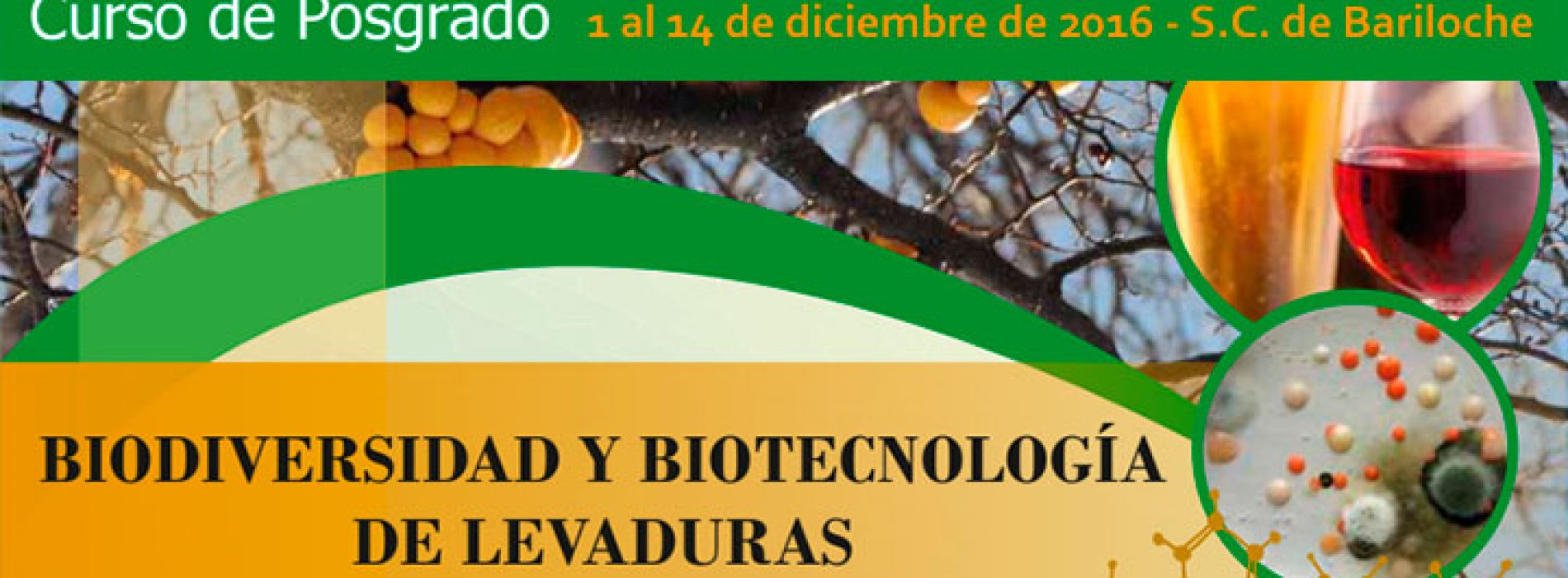 Curso de Posgrado «BIODIVERSIDAD Y BIOTECNOLOGÍA DE LEVADURAS»