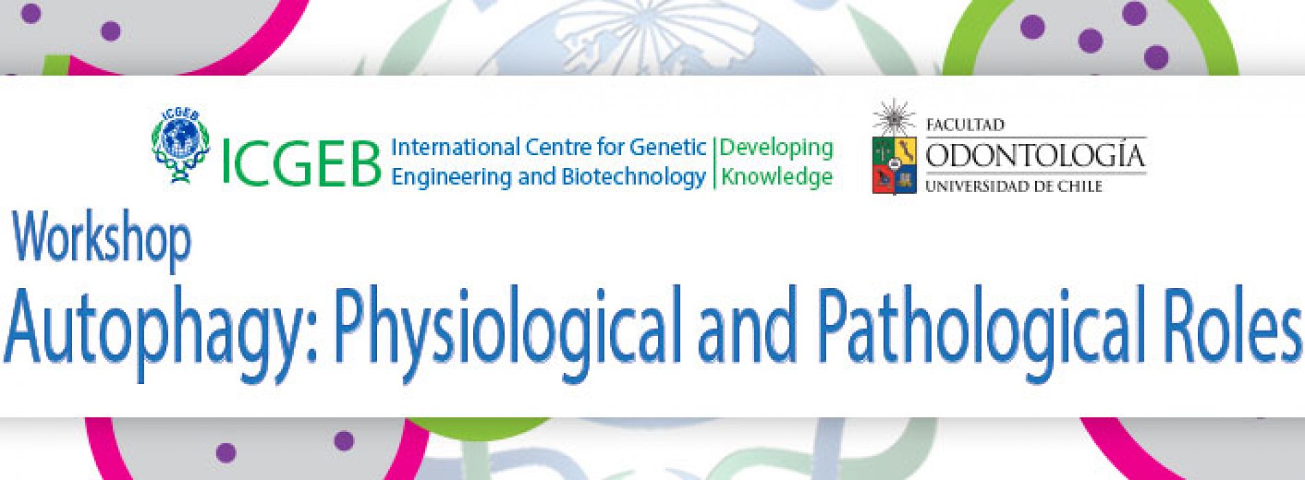 ICGEB Workshop "Autophagy: Physiological and Pathological Roles"