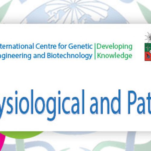 ICGEB Workshop «Autophagy: Physiological and Pathological Roles»